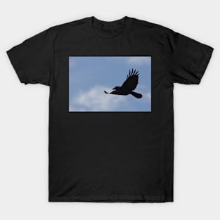 Black Bird Fly T-Shirt